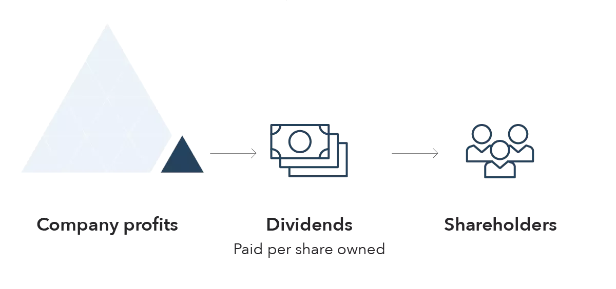 What are dividends?